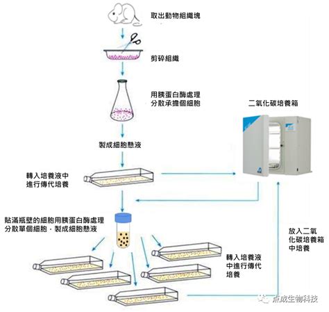 養晶方法|Re: [實驗] 養晶原理